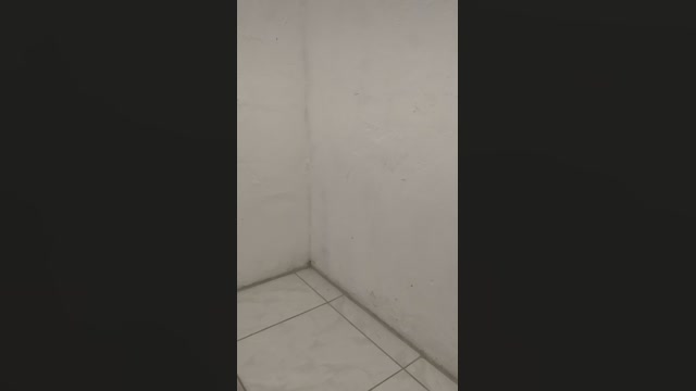 marcopzpz  10-10-2022